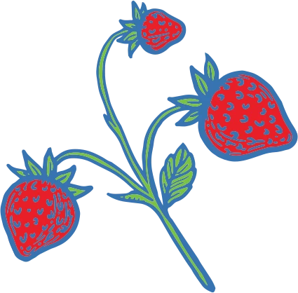 7.png